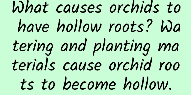 What causes orchids to have hollow roots? Watering and planting materials cause orchid roots to become hollow.