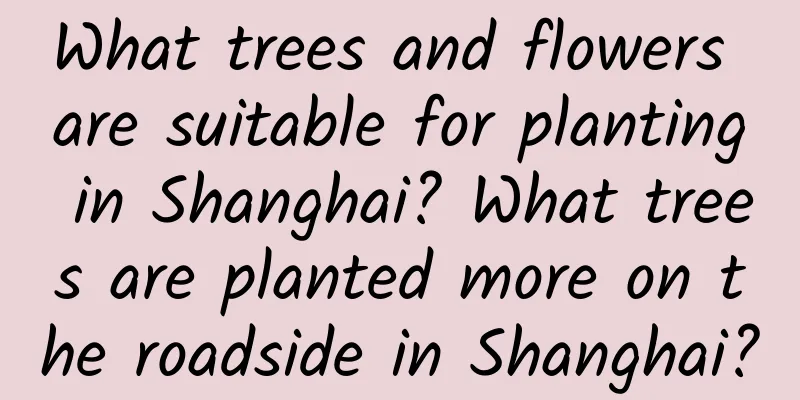What trees and flowers are suitable for planting in Shanghai? What trees are planted more on the roadside in Shanghai?