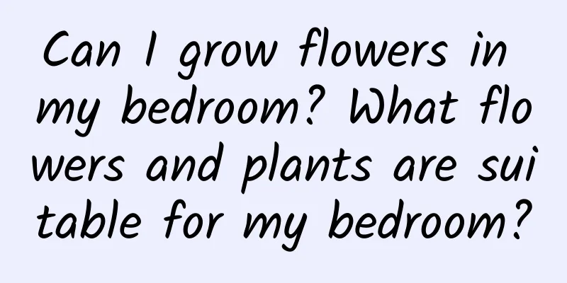 Can I grow flowers in my bedroom? What flowers and plants are suitable for my bedroom?