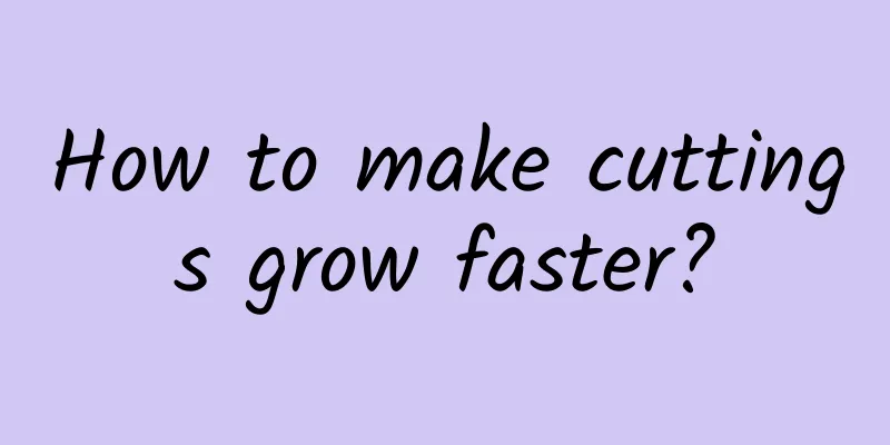 How to make cuttings grow faster?