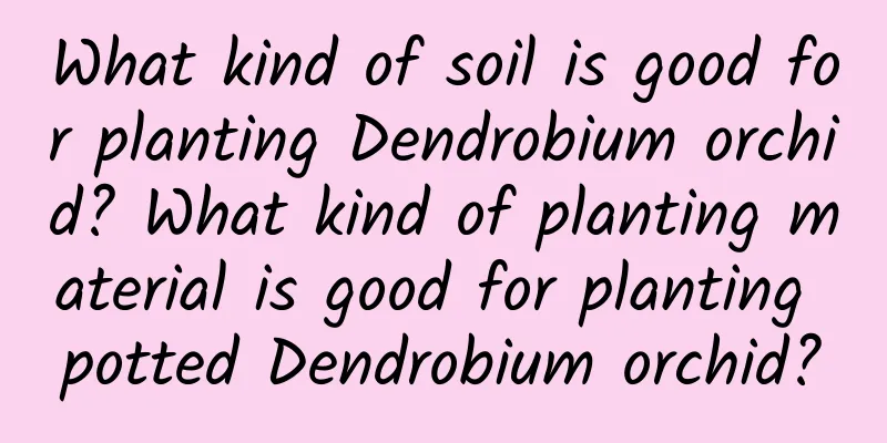 What kind of soil is good for planting Dendrobium orchid? What kind of planting material is good for planting potted Dendrobium orchid?