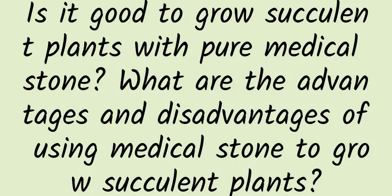 Is it good to grow succulent plants with pure medical stone? What are the advantages and disadvantages of using medical stone to grow succulent plants?