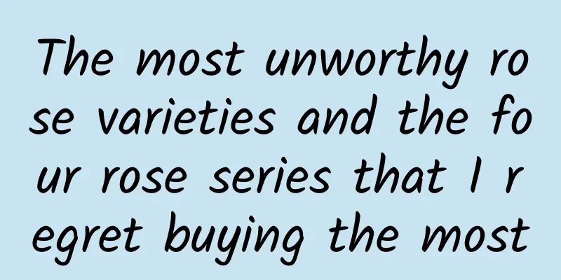 The most unworthy rose varieties and the four rose series that I regret buying the most