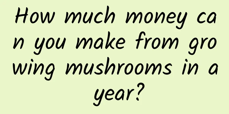 How much money can you make from growing mushrooms in a year?