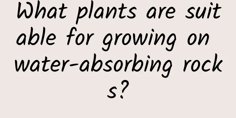 What plants are suitable for growing on water-absorbing rocks?
