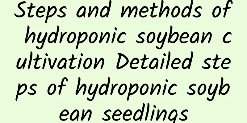Steps and methods of hydroponic soybean cultivation Detailed steps of hydroponic soybean seedlings