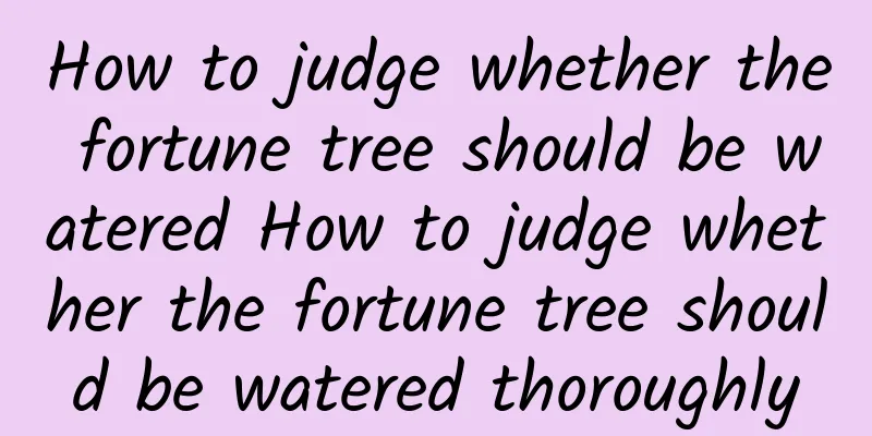 How to judge whether the fortune tree should be watered How to judge whether the fortune tree should be watered thoroughly