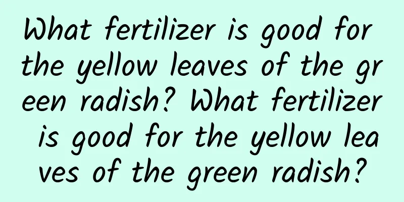 What fertilizer is good for the yellow leaves of the green radish? What fertilizer is good for the yellow leaves of the green radish?