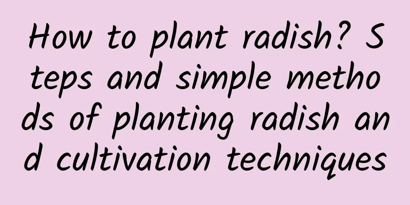 How to plant radish? Steps and simple methods of planting radish and cultivation techniques