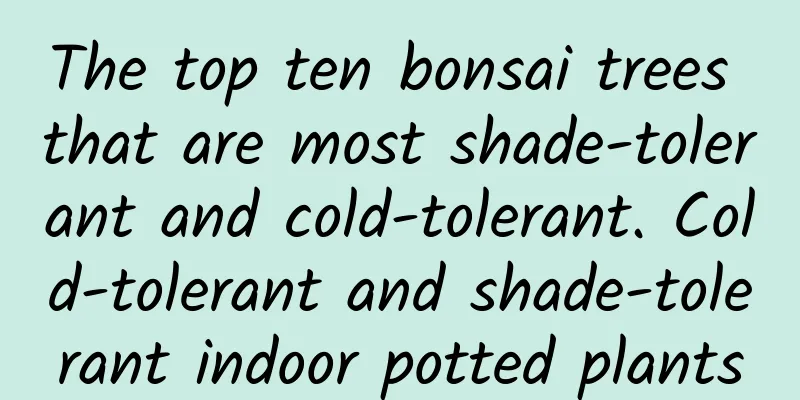 The top ten bonsai trees that are most shade-tolerant and cold-tolerant. Cold-tolerant and shade-tolerant indoor potted plants