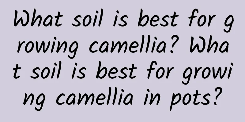 What soil is best for growing camellia? What soil is best for growing camellia in pots?