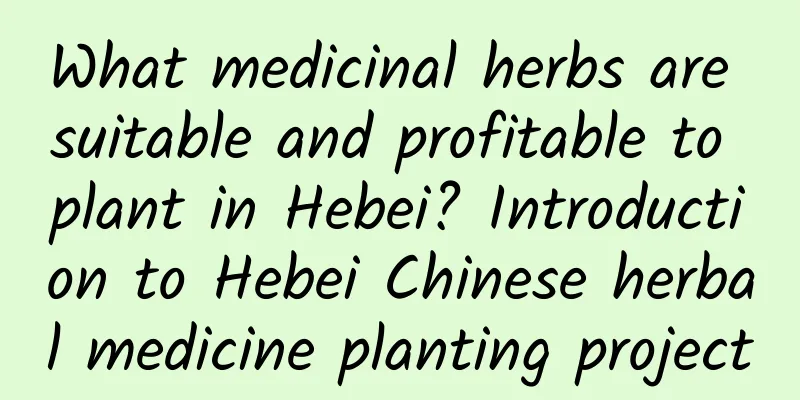 What medicinal herbs are suitable and profitable to plant in Hebei? Introduction to Hebei Chinese herbal medicine planting project