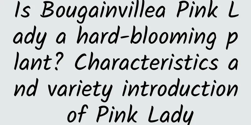 Is Bougainvillea Pink Lady a hard-blooming plant? Characteristics and variety introduction of Pink Lady