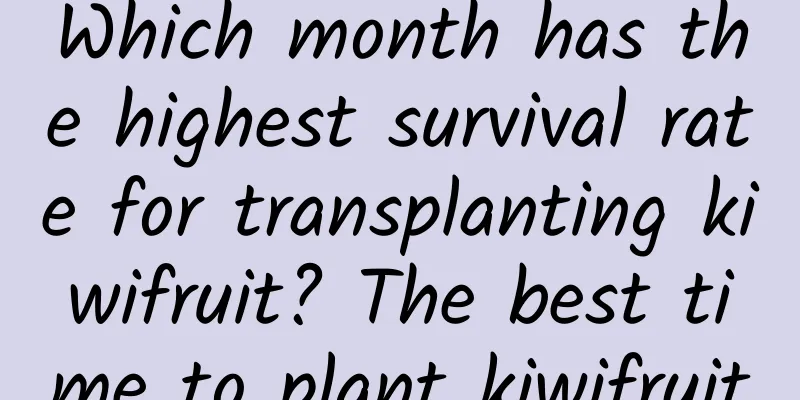 Which month has the highest survival rate for transplanting kiwifruit? The best time to plant kiwifruit