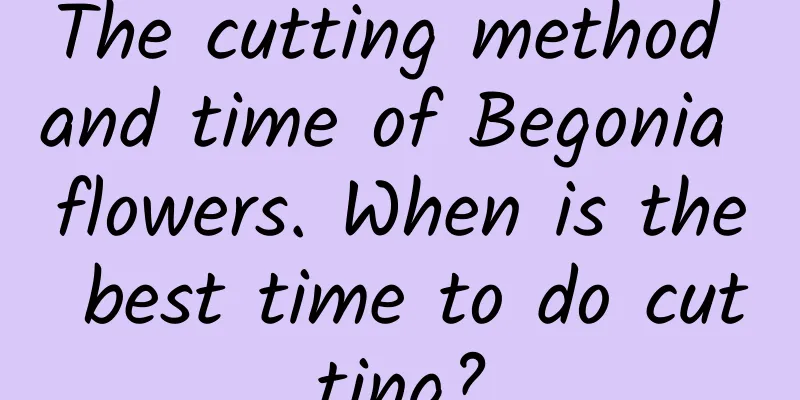 The cutting method and time of Begonia flowers. When is the best time to do cutting?