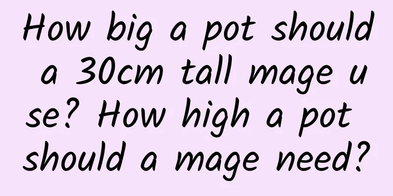 How big a pot should a 30cm tall mage use? How high a pot should a mage need?
