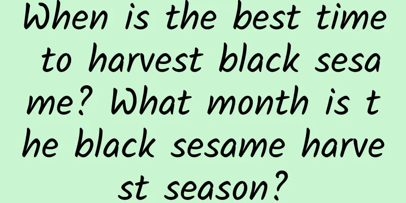 When is the best time to harvest black sesame? What month is the black sesame harvest season?