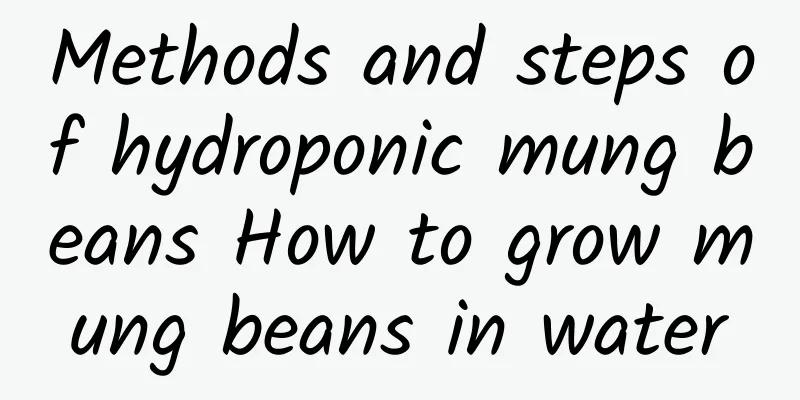 Methods and steps of hydroponic mung beans How to grow mung beans in water