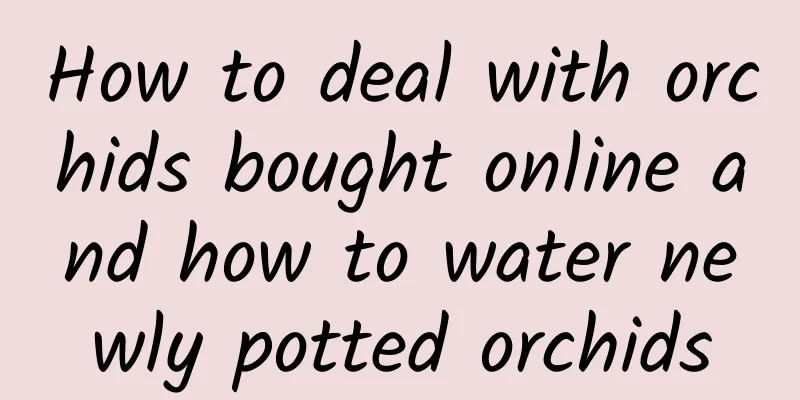 How to deal with orchids bought online and how to water newly potted orchids