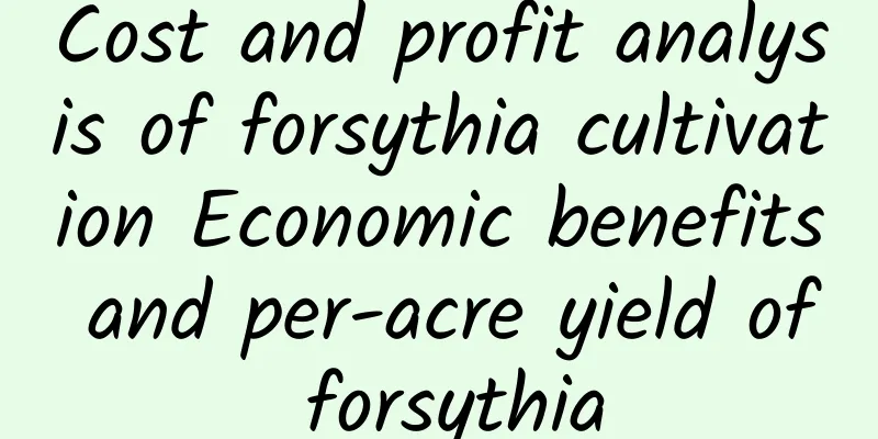 Cost and profit analysis of forsythia cultivation Economic benefits and per-acre yield of forsythia