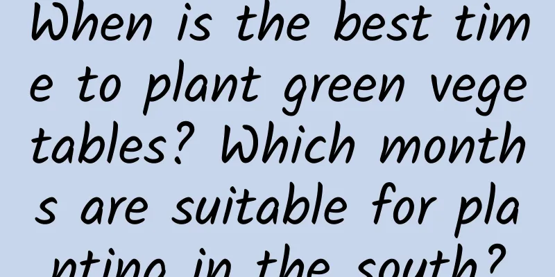 When is the best time to plant green vegetables? Which months are suitable for planting in the south?
