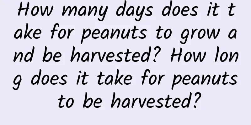 How many days does it take for peanuts to grow and be harvested? How long does it take for peanuts to be harvested?