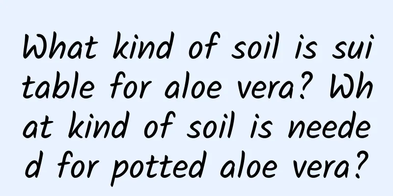 What kind of soil is suitable for aloe vera? What kind of soil is needed for potted aloe vera?
