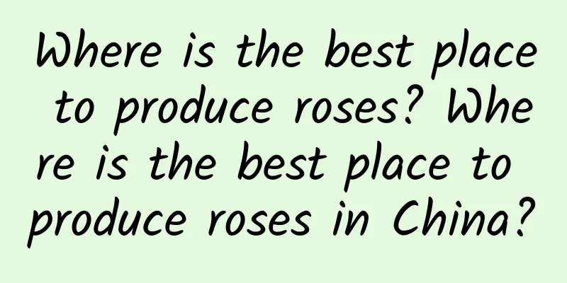 Where is the best place to produce roses? Where is the best place to produce roses in China?