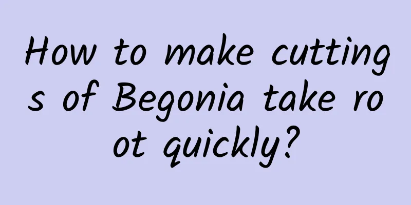 How to make cuttings of Begonia take root quickly?
