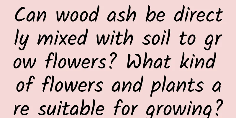 Can wood ash be directly mixed with soil to grow flowers? What kind of flowers and plants are suitable for growing?