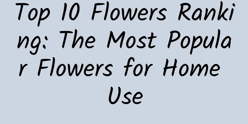 Top 10 Flowers Ranking: The Most Popular Flowers for Home Use