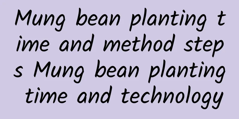Mung bean planting time and method steps Mung bean planting time and technology