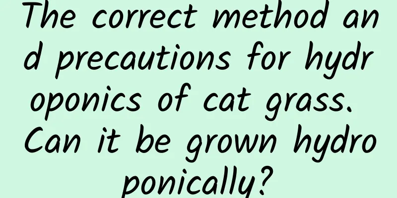 The correct method and precautions for hydroponics of cat grass. Can it be grown hydroponically?