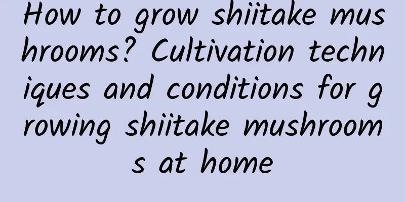 How to grow shiitake mushrooms? Cultivation techniques and conditions for growing shiitake mushrooms at home