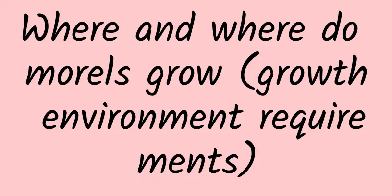 Where and where do morels grow (growth environment requirements)