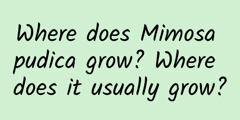 Where does Mimosa pudica grow? Where does it usually grow?
