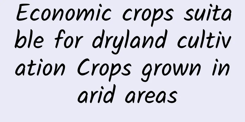 Economic crops suitable for dryland cultivation Crops grown in arid areas