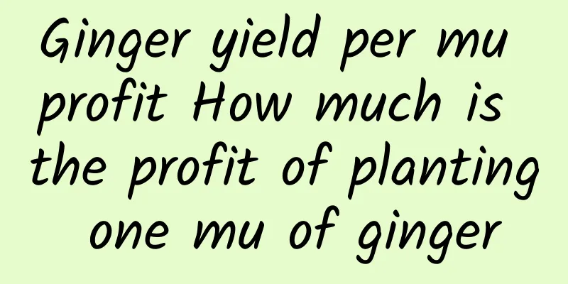 Ginger yield per mu profit How much is the profit of planting one mu of ginger