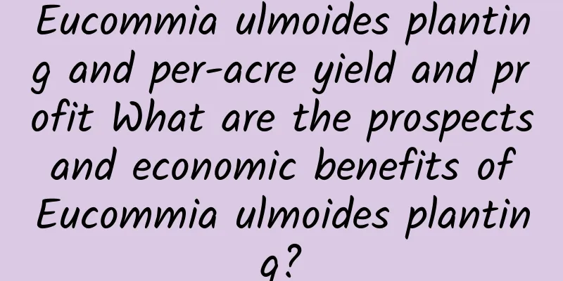 Eucommia ulmoides planting and per-acre yield and profit What are the prospects and economic benefits of Eucommia ulmoides planting?
