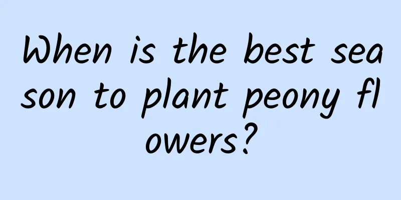 When is the best season to plant peony flowers?