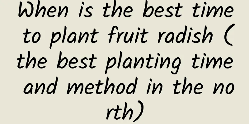 When is the best time to plant fruit radish (the best planting time and method in the north)