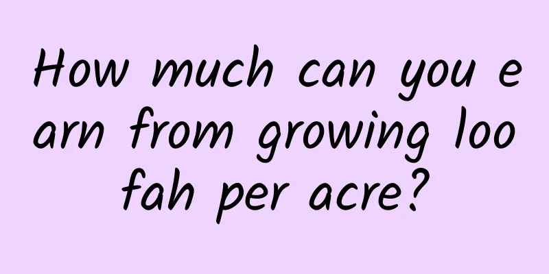 How much can you earn from growing loofah per acre?