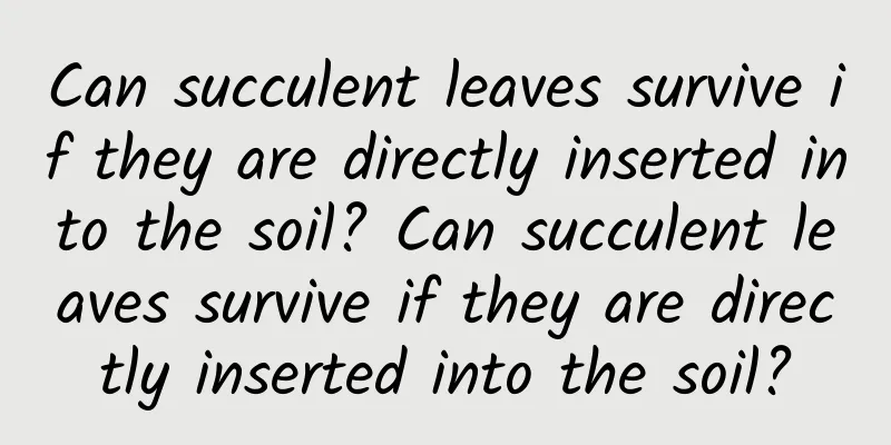 Can succulent leaves survive if they are directly inserted into the soil? Can succulent leaves survive if they are directly inserted into the soil?