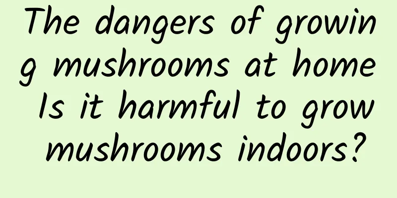 The dangers of growing mushrooms at home Is it harmful to grow mushrooms indoors?