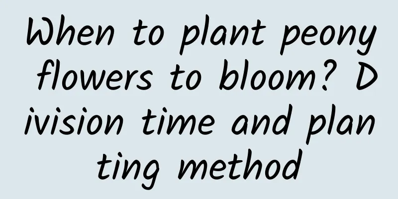 When to plant peony flowers to bloom? Division time and planting method