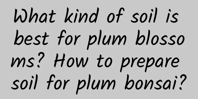 What kind of soil is best for plum blossoms? How to prepare soil for plum bonsai?