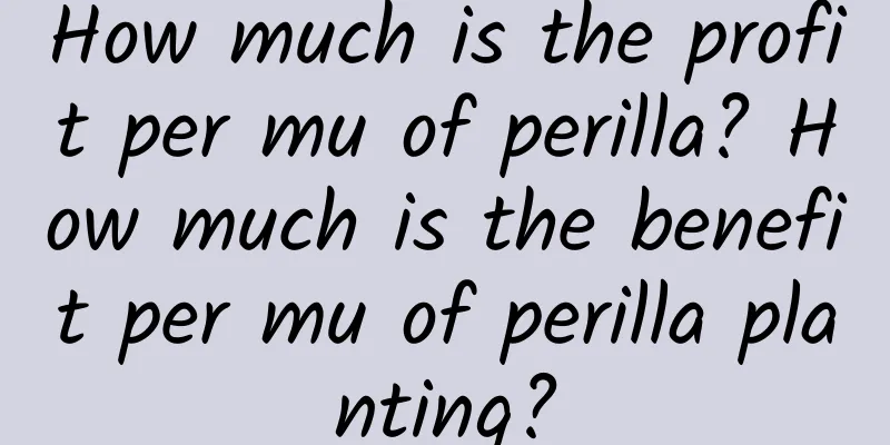 How much is the profit per mu of perilla? How much is the benefit per mu of perilla planting?