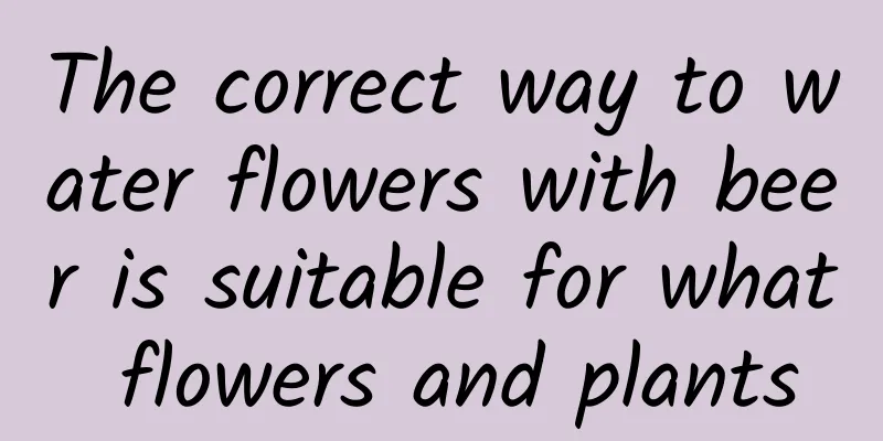 The correct way to water flowers with beer is suitable for what flowers and plants