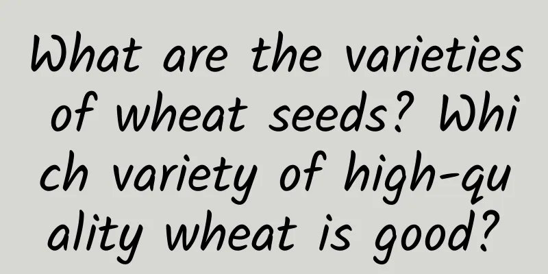 What are the varieties of wheat seeds? Which variety of high-quality wheat is good?