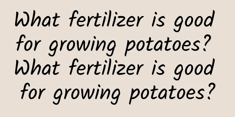 What fertilizer is good for growing potatoes? What fertilizer is good for growing potatoes?
